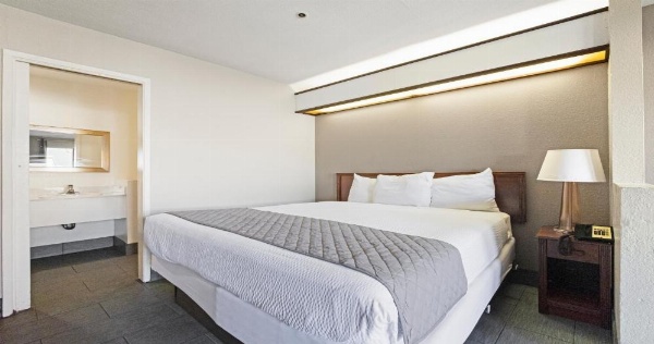 بادجيت إن وأجنحة ستوكستون يوسمايت image 13