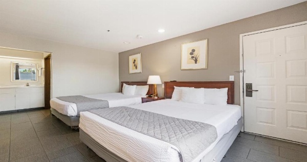 بادجيت إن وأجنحة ستوكستون يوسمايت image 23